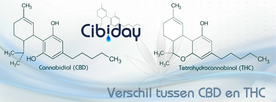 Verschil CBD en THC